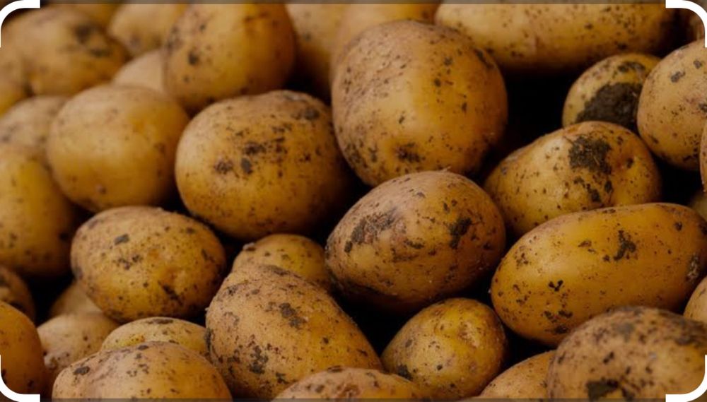 Картошка с доставкой