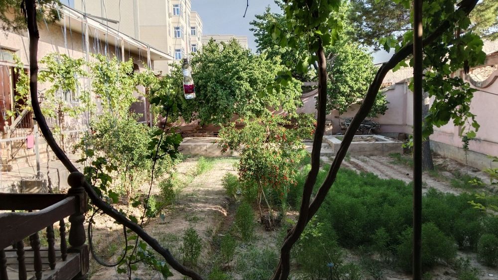 Xovli srochniy sotiladi