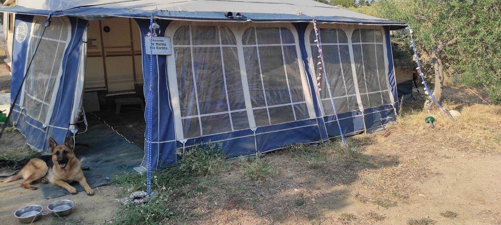 Форселт Изабела пента голд размер 1025