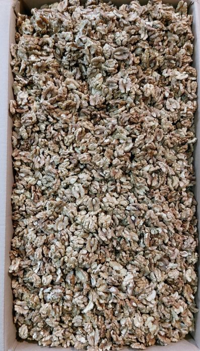 Сурови ядки - бадеми, орехи, лешници