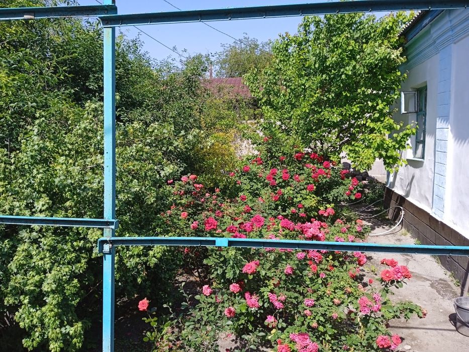 Продается дом за линией