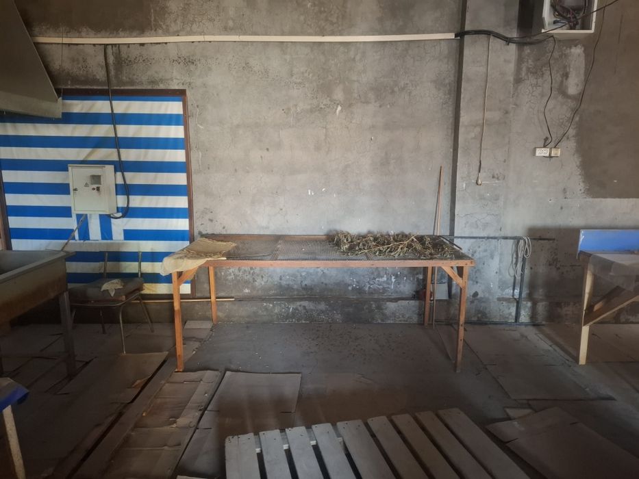 Чипс ишлаб чикариш ун набор оборудования