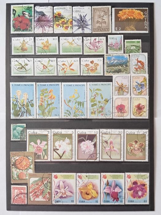 Пощенски марки тема ”Растения”.