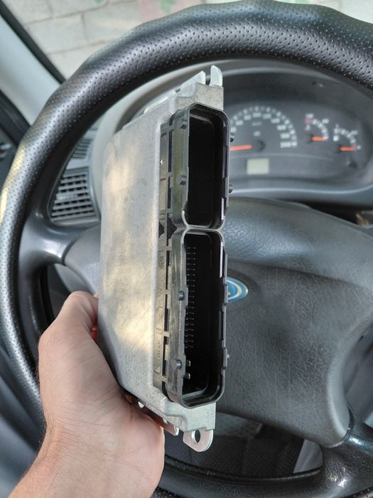 Эбу, компьютер, мозги