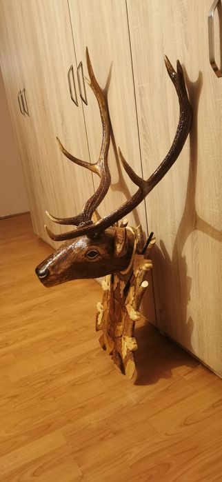 Trofeu coarne cerb