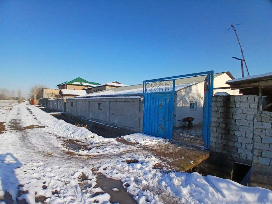 Продажа готовый бизнес 20соток Аргин Кипчок