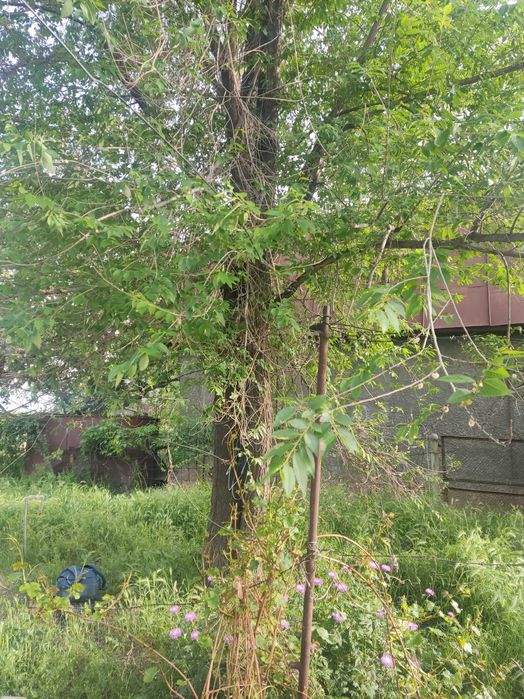 Продам дачу северо-западнее пос.Байсерке(30-й км.).Улица Асар.