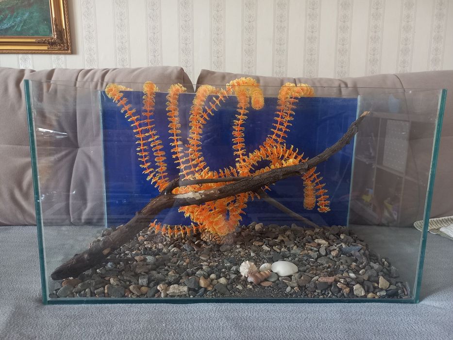 Продам  аквариум 100л