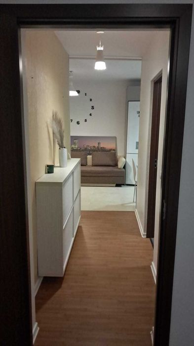 Apartament cu 1 camera de inchiriat in Floresti