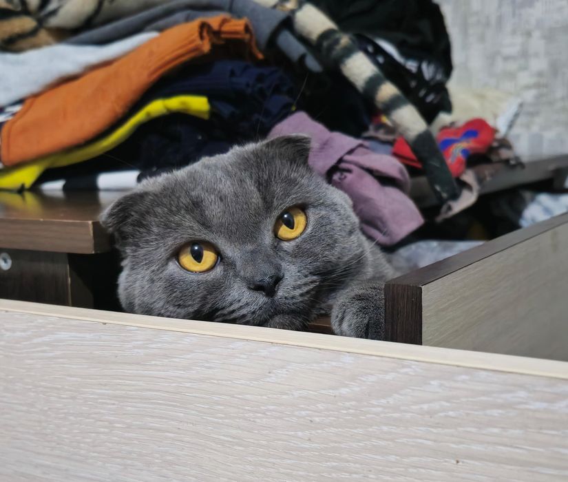 Вязка мальчик ищит девочку