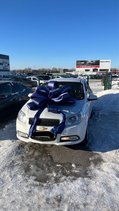 аренда машины нексиа