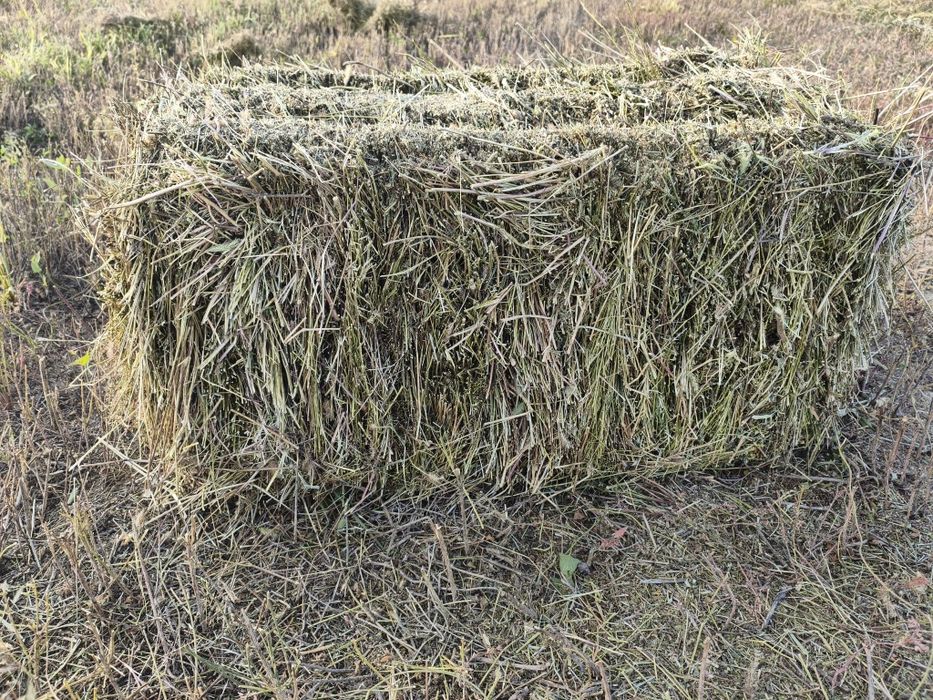 Продам разнотравие в тюках