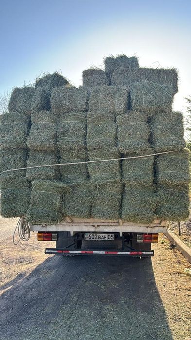 Жонышка сатылады