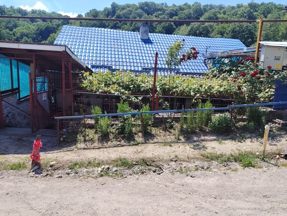 Casa de vânzare  în resita