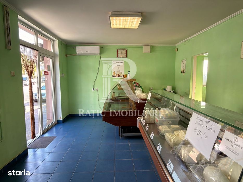 Casă cu spațiu comercial la stradă, curte și grădină | Oradea