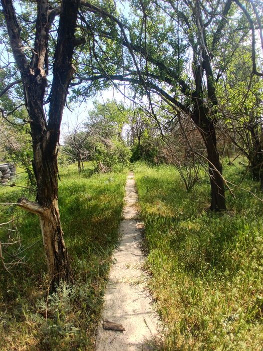 Дача 12 соток на чолдале