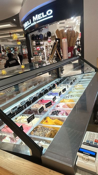 Vitrina inghetata ISA Millennium - 24 gusturi