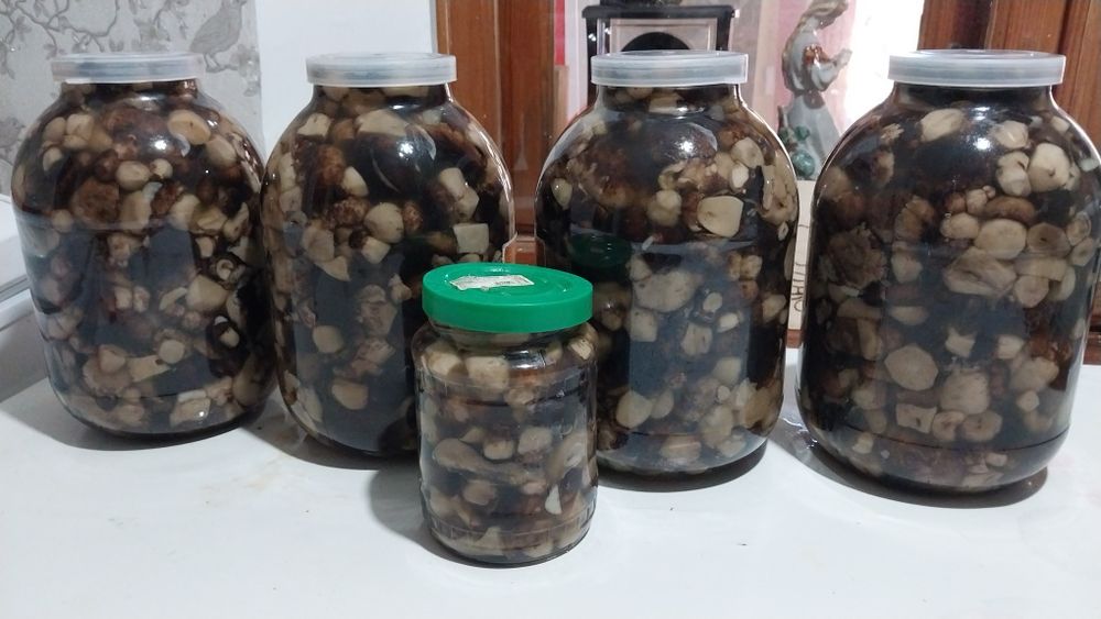 Грибы маринованные(валуи)