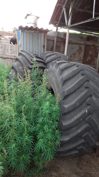 Продам балоны К700