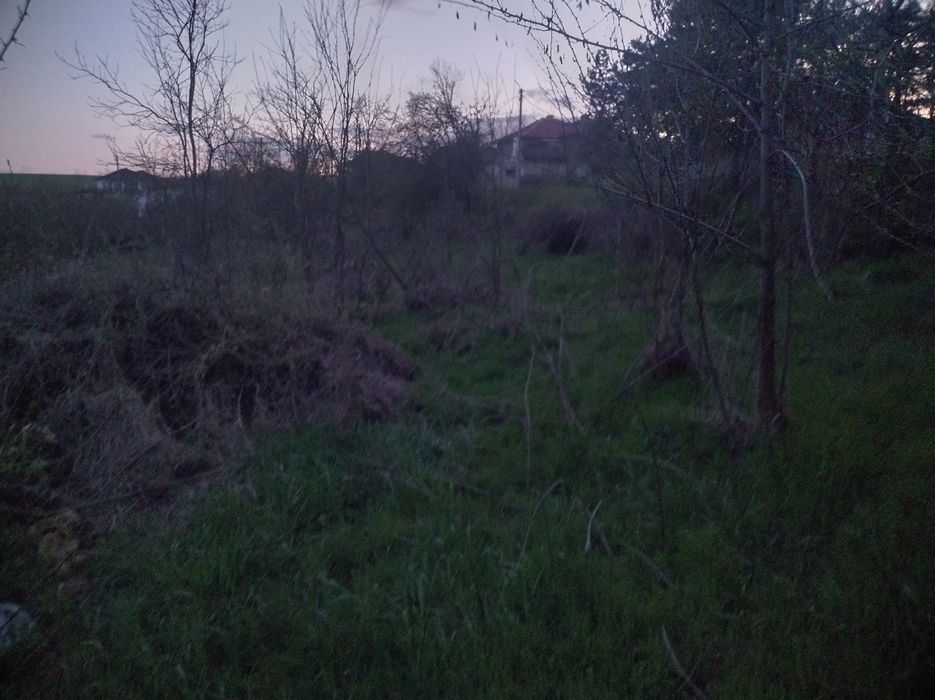 Продава се Парцел в с. Цани Гинчево, Област Шумен - 1100 кв.м за 4 €/кв.м - Снимка #4