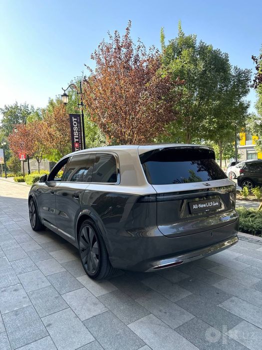 Новый Liauto Livis L9