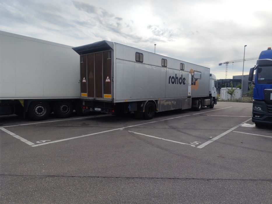 Rulotă+ spațiu transport cai