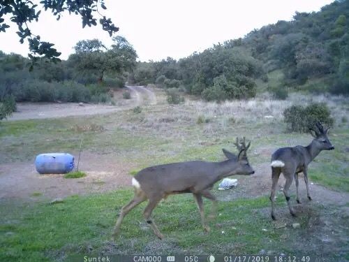 Camera supravegheat stupi , cabane , animale salbatice , santiere !!
