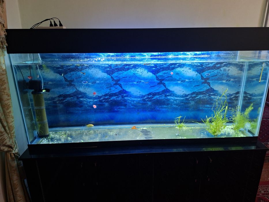 Аквариум сатылады