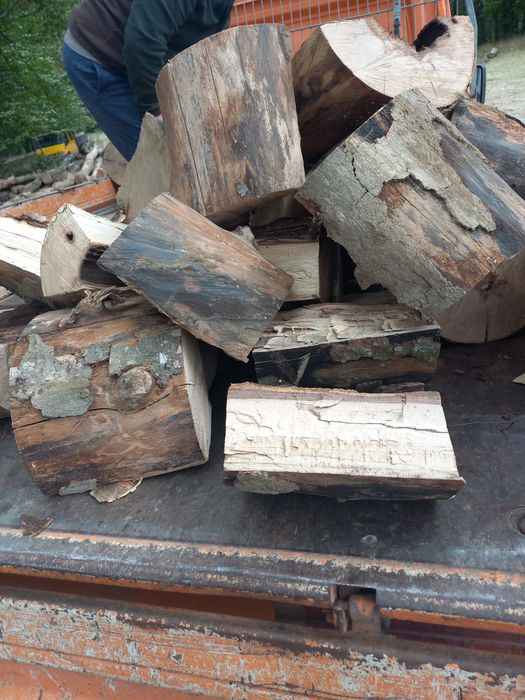 Vand stejar si carpen la preturi avantajoase !!