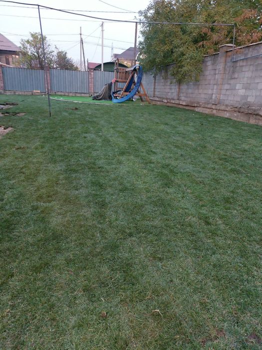 Система полива, автополив