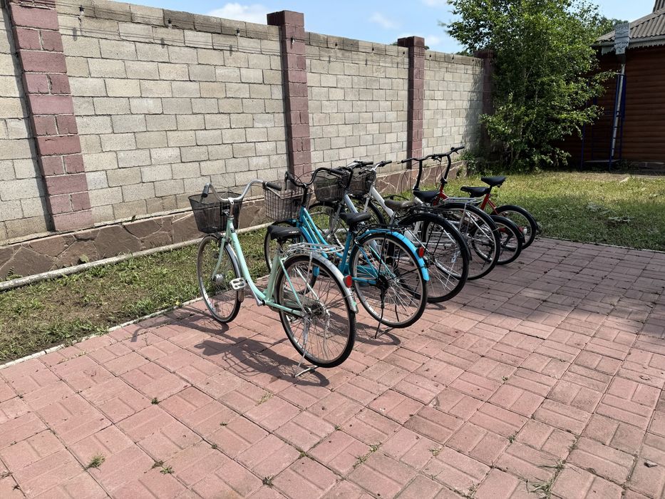 Спортивная база, сборы,УТС