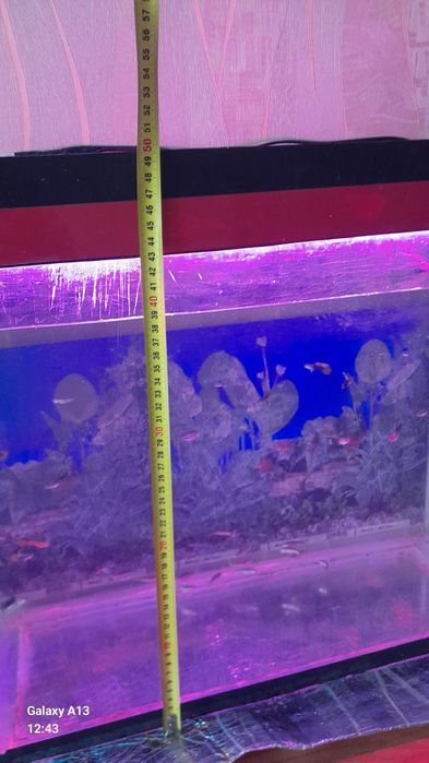 Аквариум сатылады