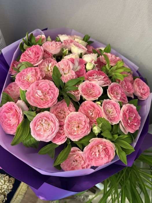 Продам Цветы свежие