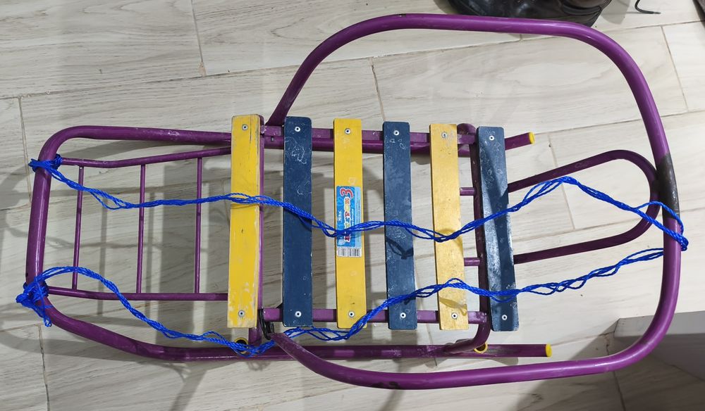 Санки зимние, Россия