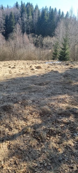 De vânzare teren  in Râșca