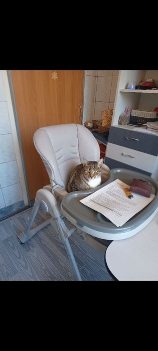 Scaun de masa bebeluși