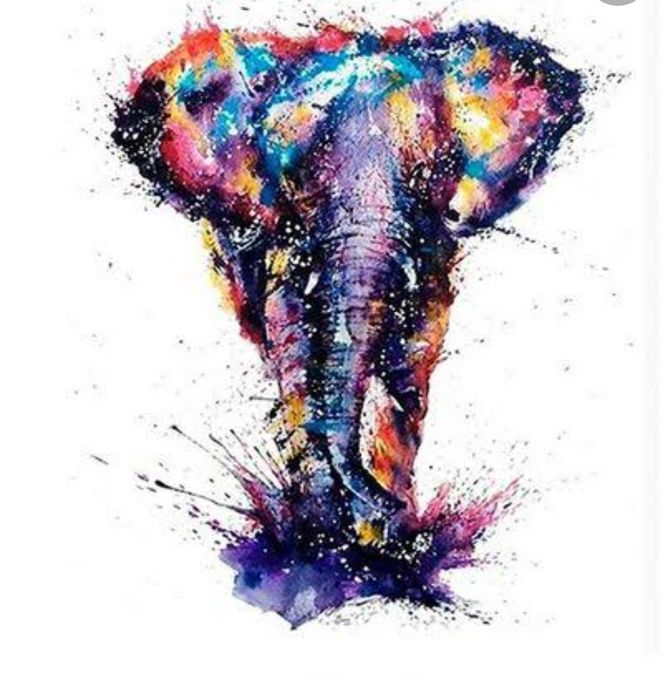 Pictura dupa numere-Elefant -produs nou
