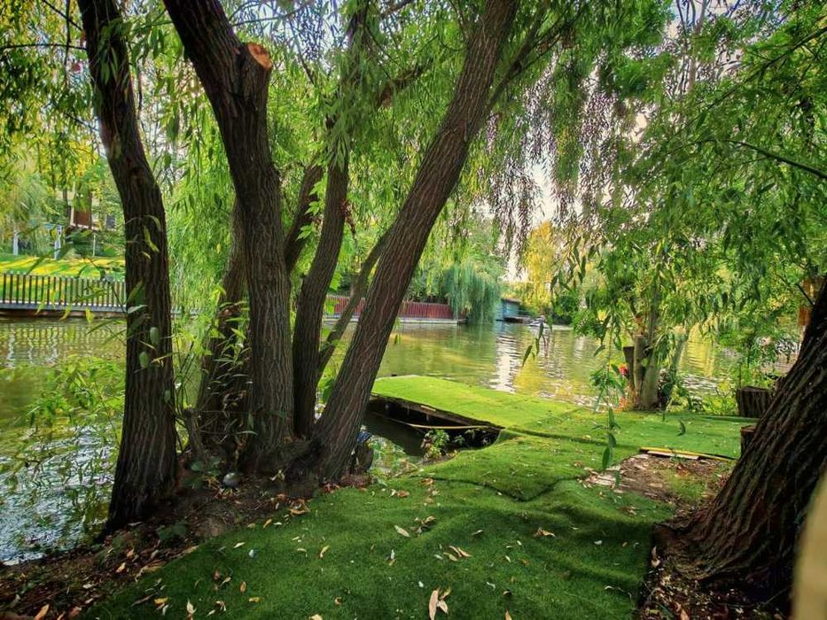 Proprietate cu acces direct la Lacul Snagov | Teren 1.842 mp