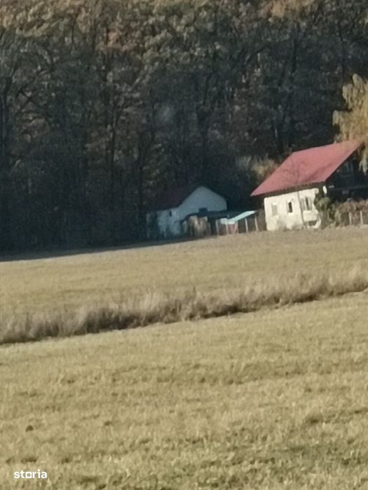 Teren langa Padure Dragomirna 40 Ari ISuceava/Dragomirna I 63.000Euro