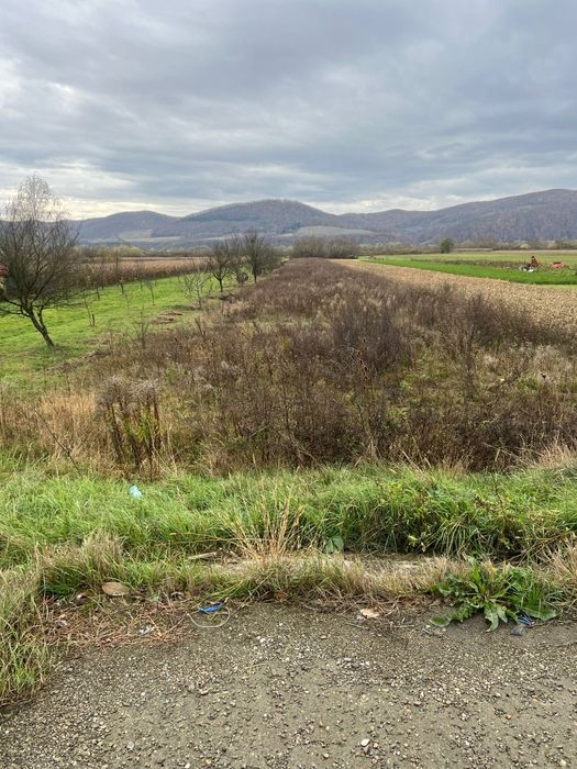 Vând teren intravilan 8025m2 Câțcau