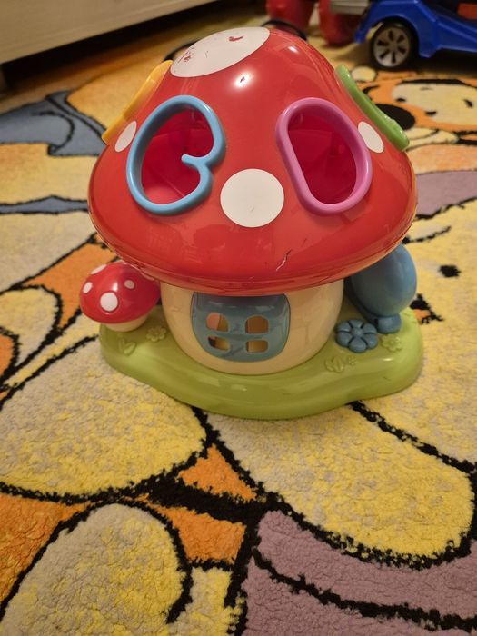 Ciupercuta cu activitati