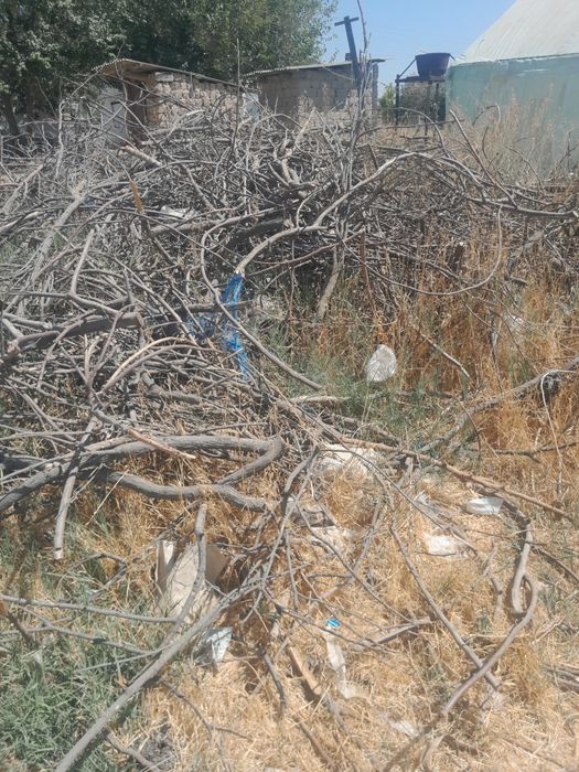 Тандир утин бор .