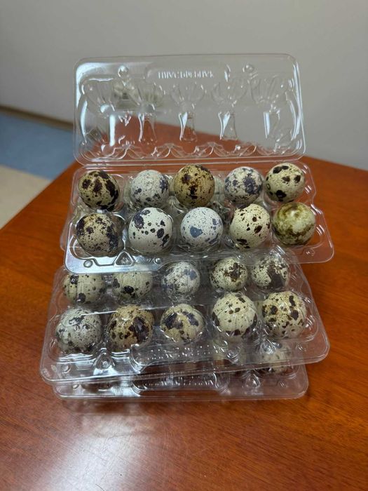 Перепелиные яйца.