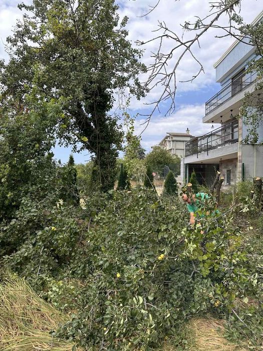 Рязане на дървета, извозване на разстителни отпадаци, дробене на клони