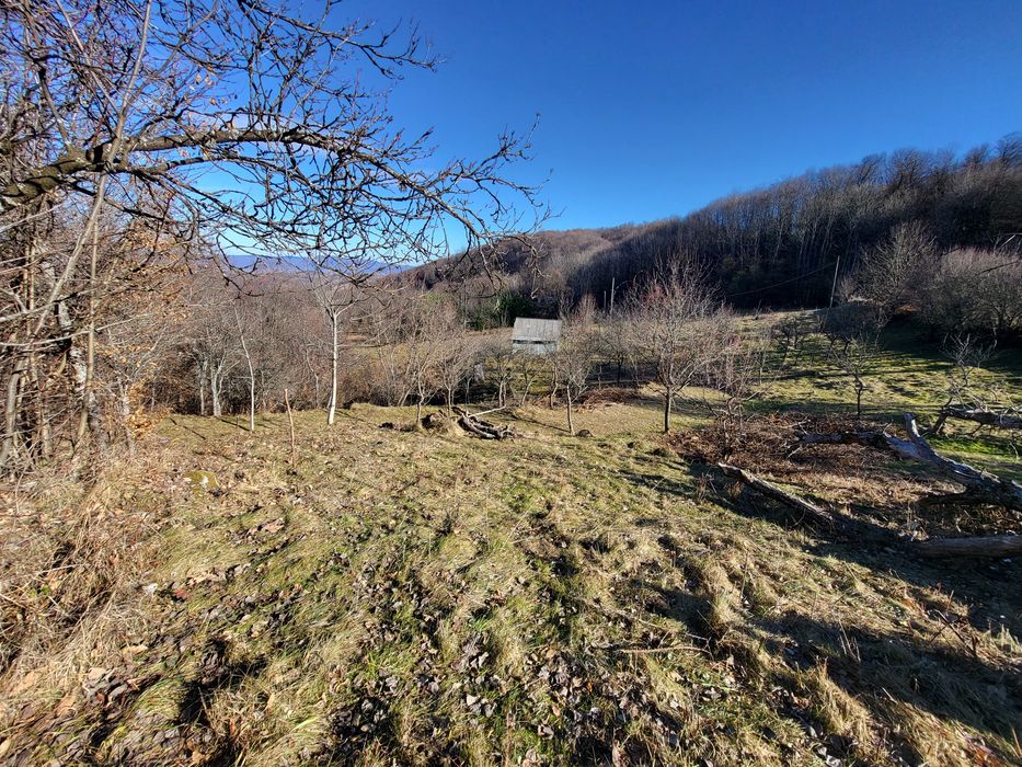 Vand teren  cu cabana in Șuncuius