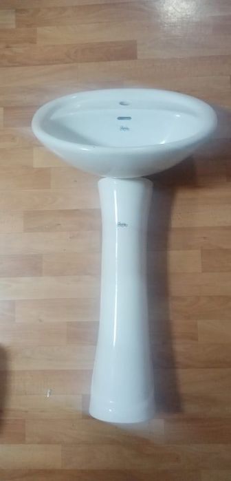 Раковина тюльпан