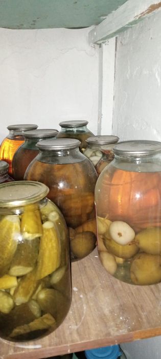 Все домашнего приготовления