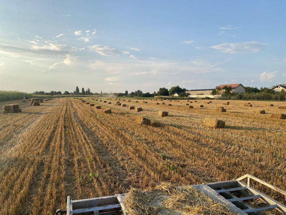 Baloti de vanzare