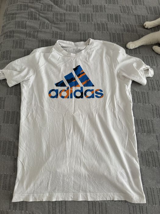 tricouri, blugi, sosete