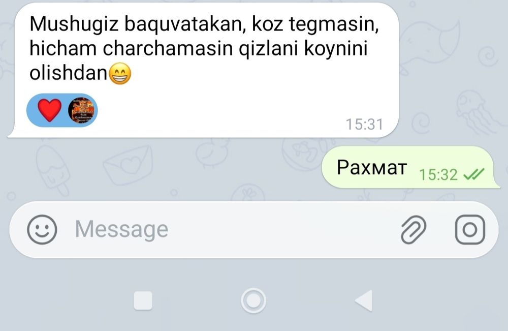 Вязка Британский кот .